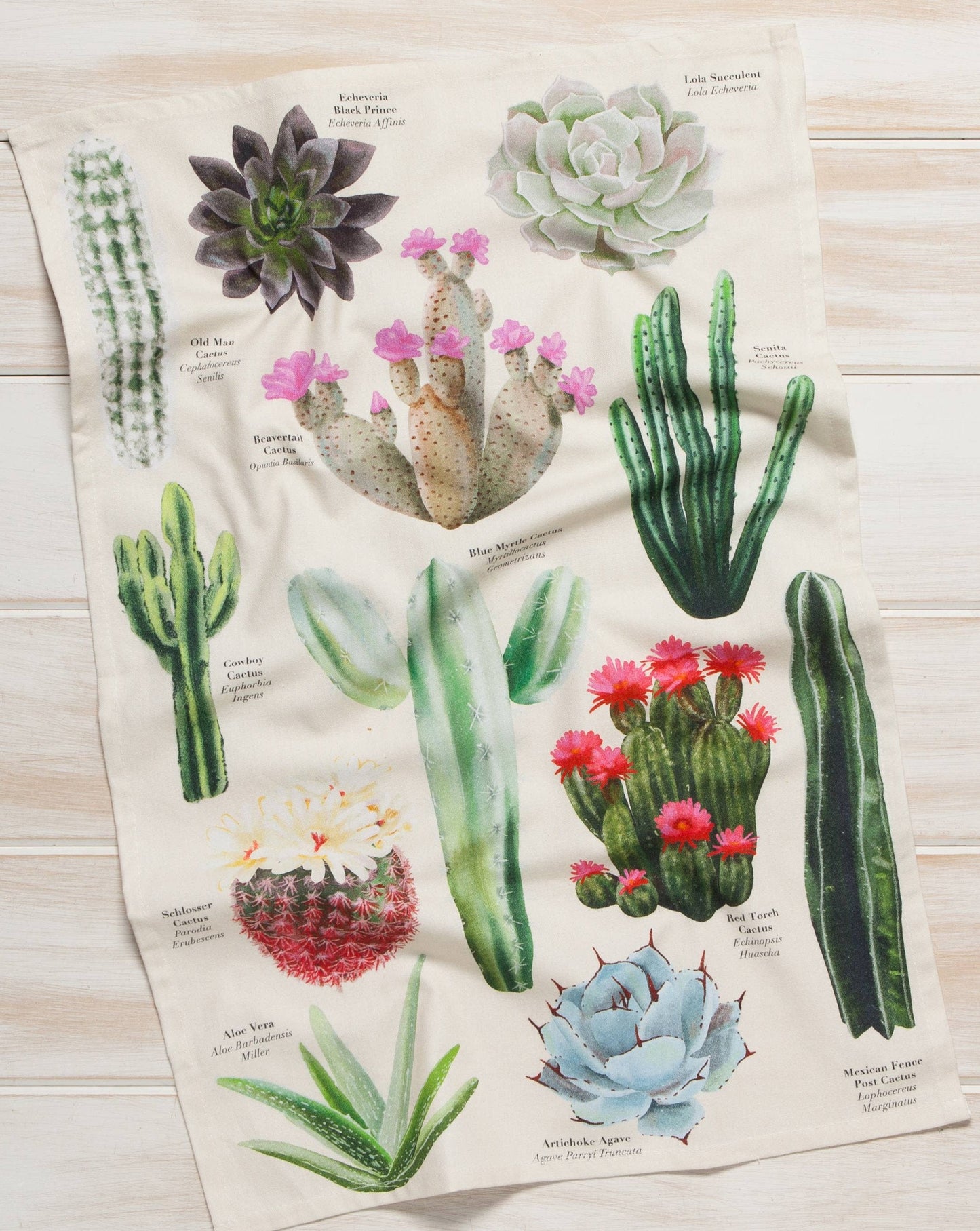 Botanical Cacti Dishtowel