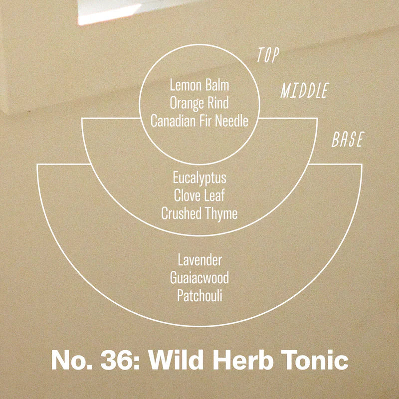 Wild Herb Tonic Candle